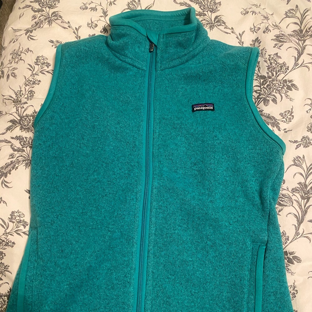 Patagonia vest